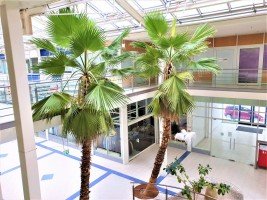 Hauptbild 68 m² Büro - Praxis - Fläche in bester Centerlage